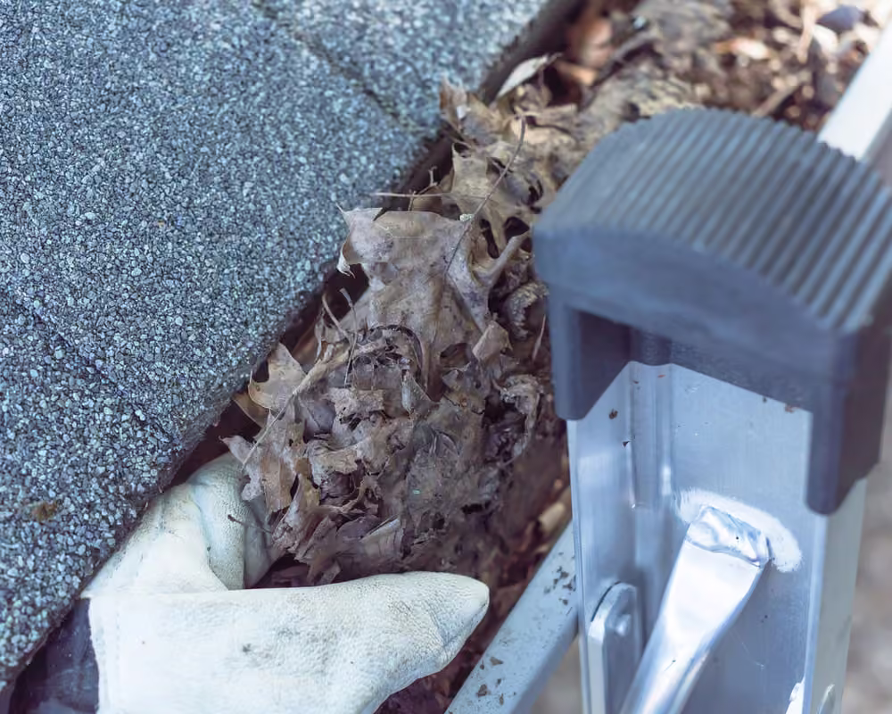 Leaves and debris being removed from a gutter during a cleaning service